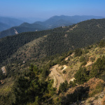 Paris Randos Nature 2026 au Parc Floral de Pari - 2