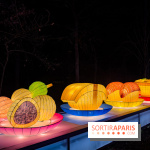Le Japon en Lumières : le parcours lumineux et festival des lanternes 2025 du Jardin d'Acclimatation