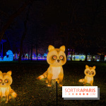 Le Japon en Lumières : le parcours lumineux et festival des lanternes 2025 du Jardin d'Acclimatation