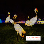 Le Japon en Lumières : le parcours lumineux et festival des lanternes 2025 du Jardin d'Acclimatation