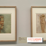 Rodin, dessins libres : une exposition d'œuvres rarement montrées au musée Rodin se dévoile