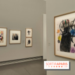 Dessins sans limite : le Centre Pompidou expose ses trésors au Grand Palais - nos photos