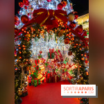 Ce passionné en Essonne transforme son jardin en Village de Noël à visiter gratuitement