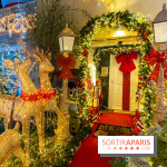 Ce passionné en Essonne transforme son jardin en Village de Noël à visiter gratuitement