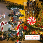 Ce passionné en Essonne transforme son jardin en Village de Noël à visiter gratuitement