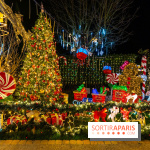 Ce passionné en Essonne transforme son jardin en Village de Noël à visiter gratuitement