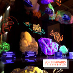 Codex on the Rocks, nos photos de l'expo au Musée de Minéralogie à Paris