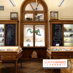 Codex on the Rocks, nos photos de l'expo au Musée de Minéralogie à Paris