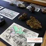 Codex on the Rocks, nos photos de l'expo au Musée de Minéralogie à Paris