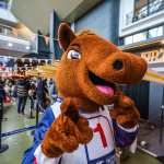 Le Carnaval de Venise s’invite à Paris le 1er février, à l’Hippodrome de Vincennes - BV 20241229134923BV  9212