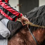 Le Carnaval de Venise s’invite à Paris le 1er février, à l’Hippodrome de Vincennes - BV BV 3245