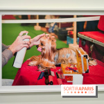 Global Warning : le photographe Martin Parr à l'honneur dans une exposition au Jeu de Paume