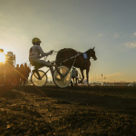 Carnavals de France à l’Hippodrome Paris-Vincennes : défilés, courses et Miss France 2026 - BVdV 2023 0212163953BV2 1096