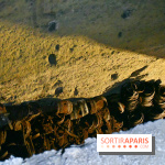 Les Caves du Roi, les mystérieux souterrains sous Sèvres - DSC 6213