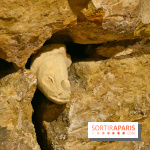 Les Caves du Roi, les mystérieux souterrains sous Sèvres