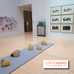 Exposition Contraste et indifférence au Centre culturel canadien - nos photos