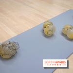 Exposition Contraste et indifférence au Centre culturel canadien - nos photos