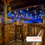 Frozen Ever After : l'attraction La Reine des Neiges à Disneyland Paris
