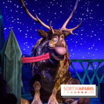 Frozen Ever After : l'attraction La Reine des Neiges à Disneyland Paris
