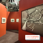 Sebastião Salgado au cœur d'une exposition de photos gratuite à l'Hôtel de Ville de Paris