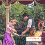 Adventure Way Adventure Bay Disney Adventure World Disneyland Paris Raiponce Flynn