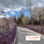 Adventure Way Adventure Bay Disney Adventure World Disneyland Paris Jardin Raiponce