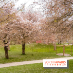 Les cerisiers du parc Martin Luther King - Clichy - Batignoles