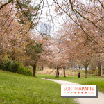 Les cerisiers du parc Martin Luther King - Clichy - Batignoles