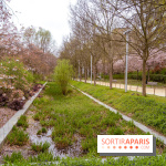 Les cerisiers du parc Martin Luther King - Clichy - Batignoles