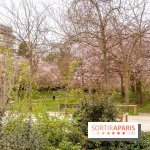 Les cerisiers du parc Martin Luther King - Clichy - Batignoles