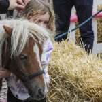 La Fête du Cheval, une journée familiale à l’Hippodrome d’Enghien-Soisy - BV 20250913143708BV1 8479