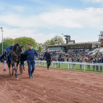 La Fête du Cheval, une journée familiale à l’Hippodrome d’Enghien-Soisy - SCOOPDYGA 116842 059