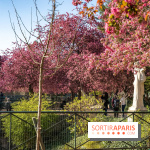 Les pommiers et cerisiers en fleurs du Jardin de Reuilly, Parc de Reuilly à Paris 12e - photos