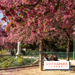 Les pommiers et cerisiers en fleurs du Jardin de Reuilly, Parc de Reuilly à Paris 12e - photos  - A7C09304