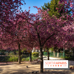 Les pommiers et cerisiers en fleurs du Jardin de Reuilly, Parc de Reuilly à Paris 12e - photos