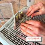 Atelier vitrail - IMG 4244