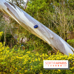 Le jardin botanique de Launay et arboretum de l'Université Paris Saclay à Orsay - les photos - A7C09558