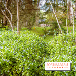 Le jardin botanique de Launay et arboretum de l'Université Paris Saclay à Orsay - les photos