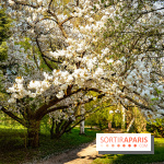 Le jardin botanique de Launay et arboretum de l'Université Paris Saclay à Orsay - les photos - A7C09574