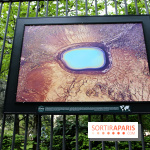 Fragilités & Résiliences, nos photos de l'expo dévoilée sur les grilles du Jardin du Luxembourg