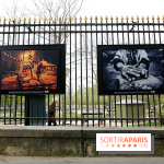 Fragilités & Résiliences, nos photos de l'expo dévoilée sur les grilles du Jardin du Luxembourg