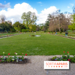 Le Parc de Bagatelle au printemps, cerisier, tulipes et jonquilles - photos - A7C00661