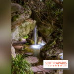 Le Parc de Bagatelle au printemps, cerisier, tulipes et jonquilles - photos - A7C00672