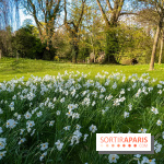 Le Parc de Bagatelle au printemps, cerisier, tulipes et jonquilles - photos - A7C00707