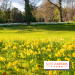Le Parc de Bagatelle au printemps, cerisier, tulipes et jonquilles - photos