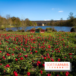 Les tulipes du Château de Dampierre, son jardin anglais et le jardin Le Nôtre