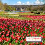 Les tulipes du Château de Dampierre, son jardin anglais et le jardin Le Nôtre