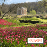 Les tulipes du Château de Dampierre, son jardin anglais et le jardin Le Nôtre