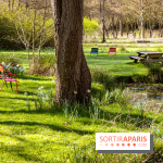 Les tulipes du Château de Dampierre, son jardin anglais et le jardin Le Nôtre