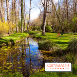 Les tulipes du Château de Dampierre, son jardin anglais et le jardin Le Nôtre - IMG 2947